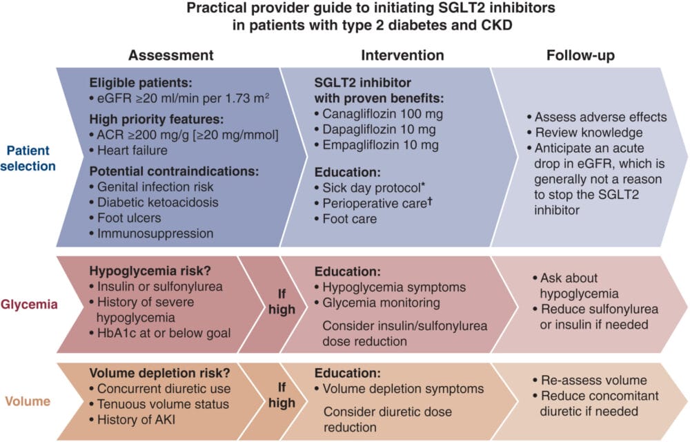 Sglt2 Inhibitor Chart.pdf Diabetes - NHS Somerset ICB