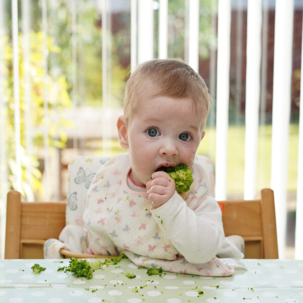 Young child sat eating broccoli