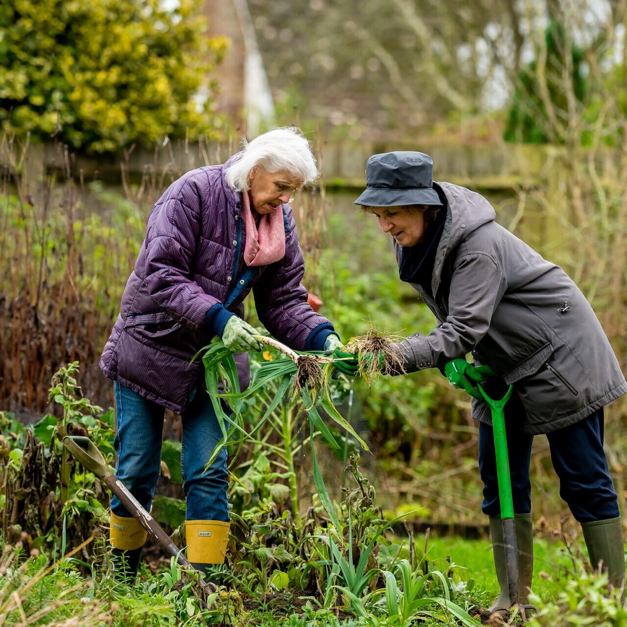 Photograph of 2 people stood in a garden digging