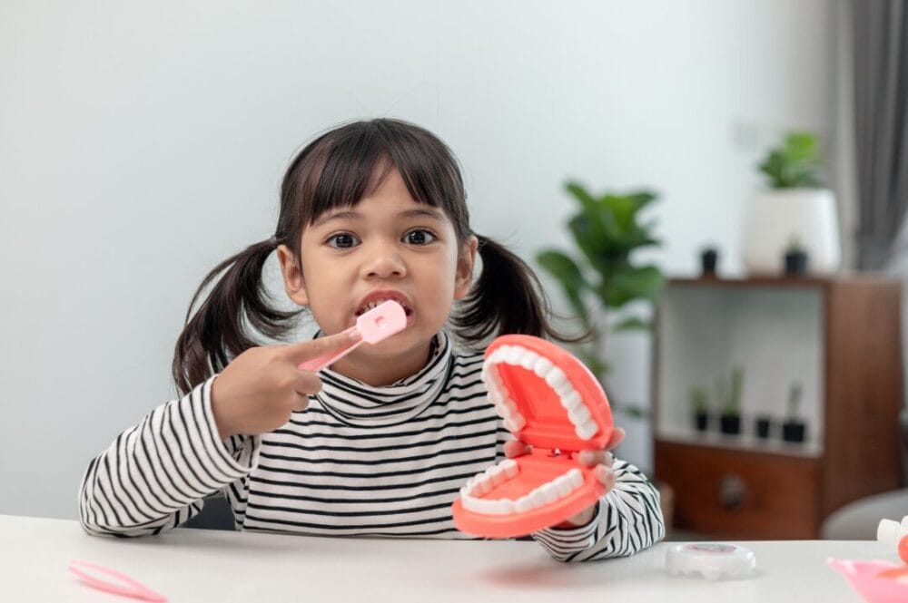 A small child plays with artificial jaws. Children's dentist