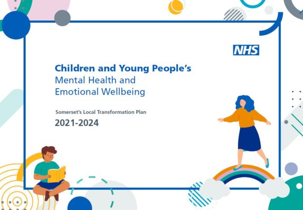 Children and Young People’s Mental Health and Emotional Transformation ...